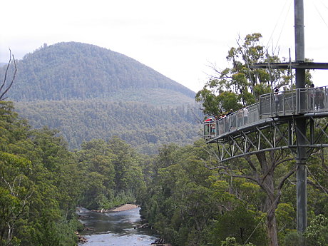 Tahune Airwalk - Cantilever 40m Up