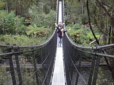 Swinging Bridge at Tahune Airwalk