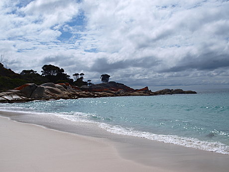 East Coast Adventure 2 Days/ 1 Night (depart Launceston)