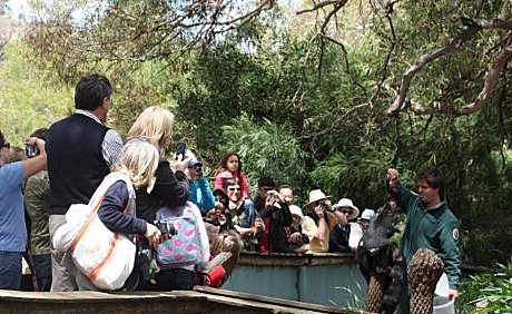 DAY TOUR - CADBURY CHOCOLATE FACTORY, MT WELLINGTON SUMMIT & TASMANIAN DEVILS