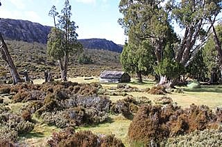 Dixon's Kingdom Hut