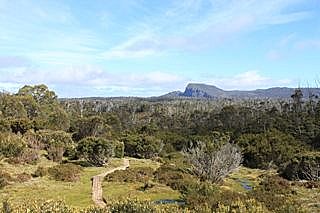 Looking towards Wild Dog Creek