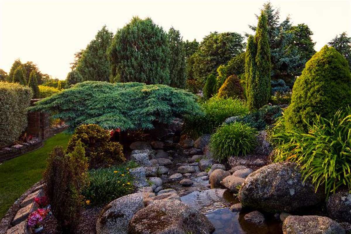 Carr Villa Water Garden
