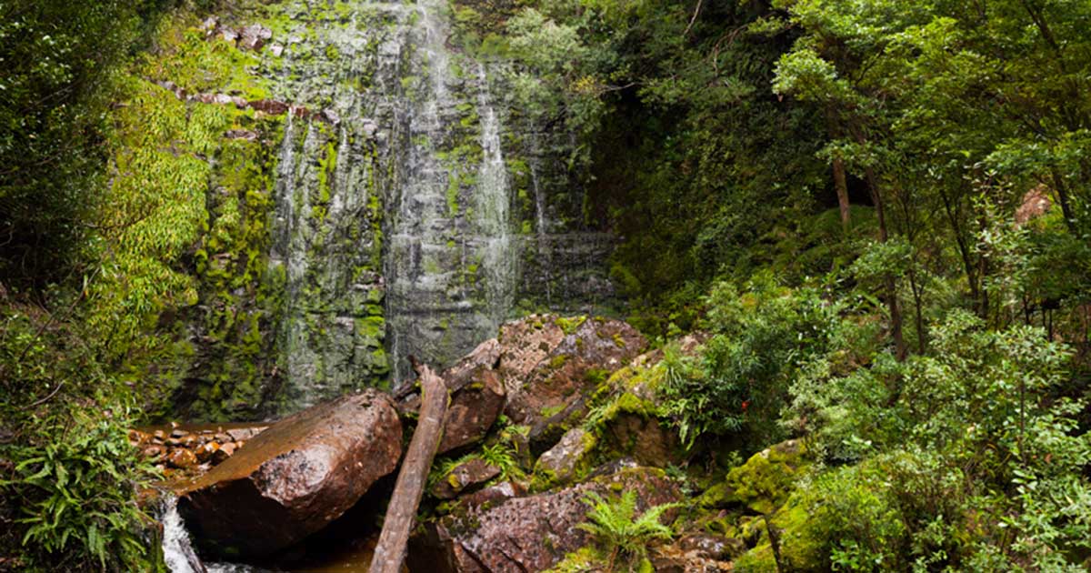 Adamsons Falls
