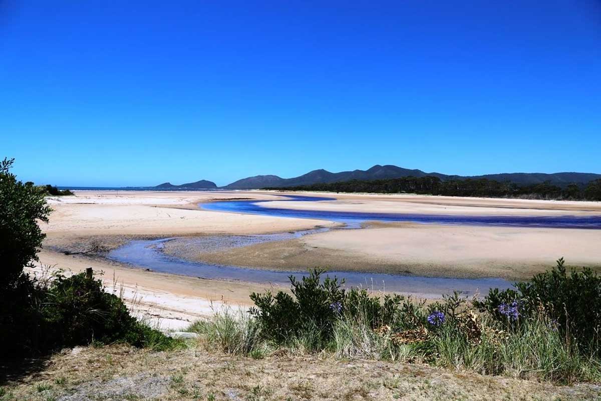Boobyalla