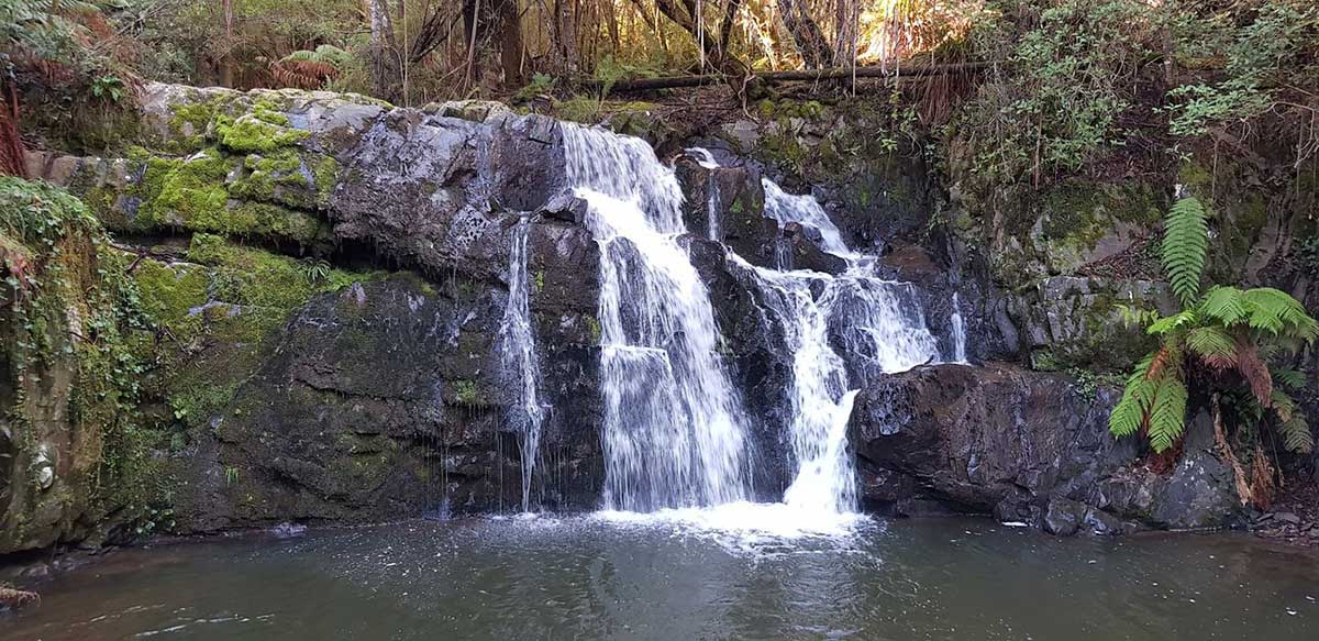>Lilydale Falls