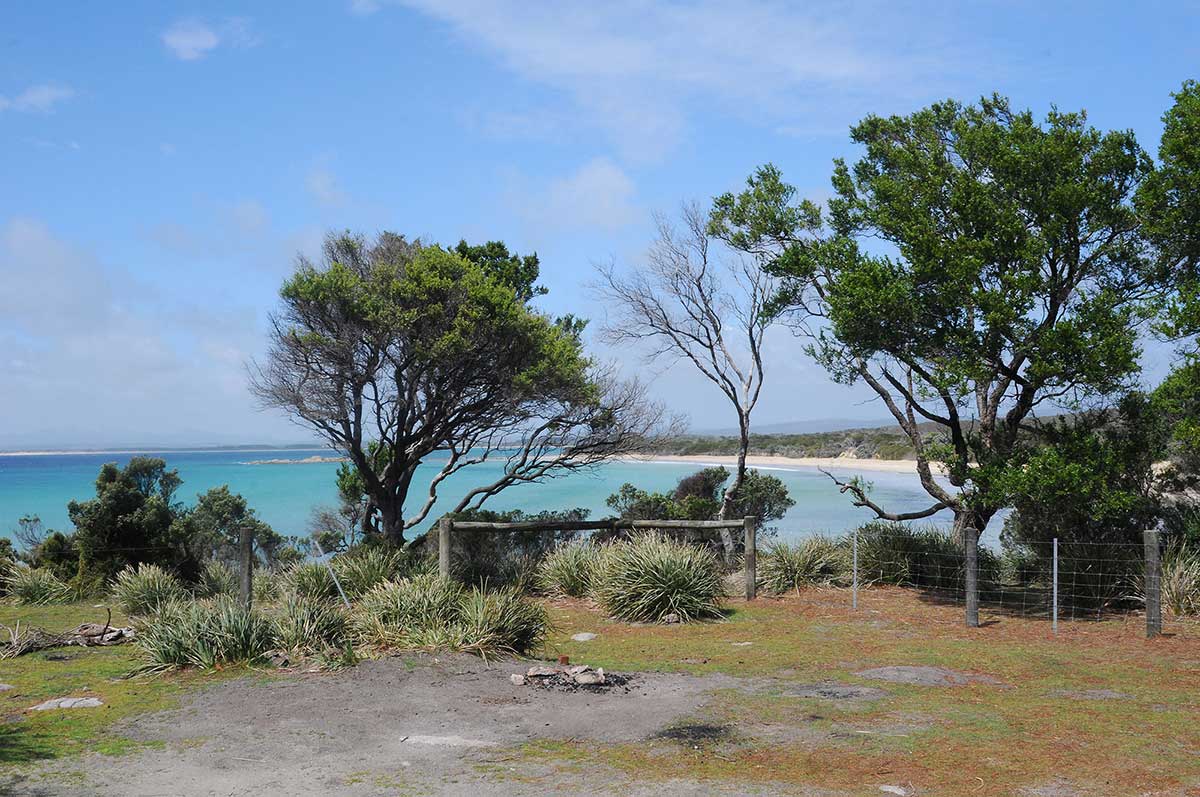 The Tarkine