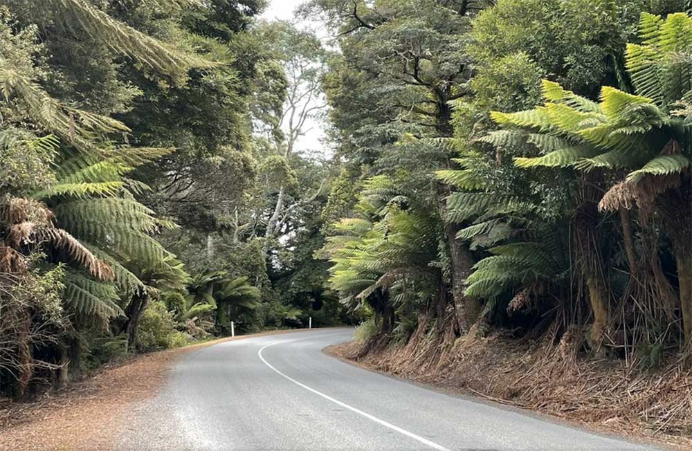 Weldborough Pass
