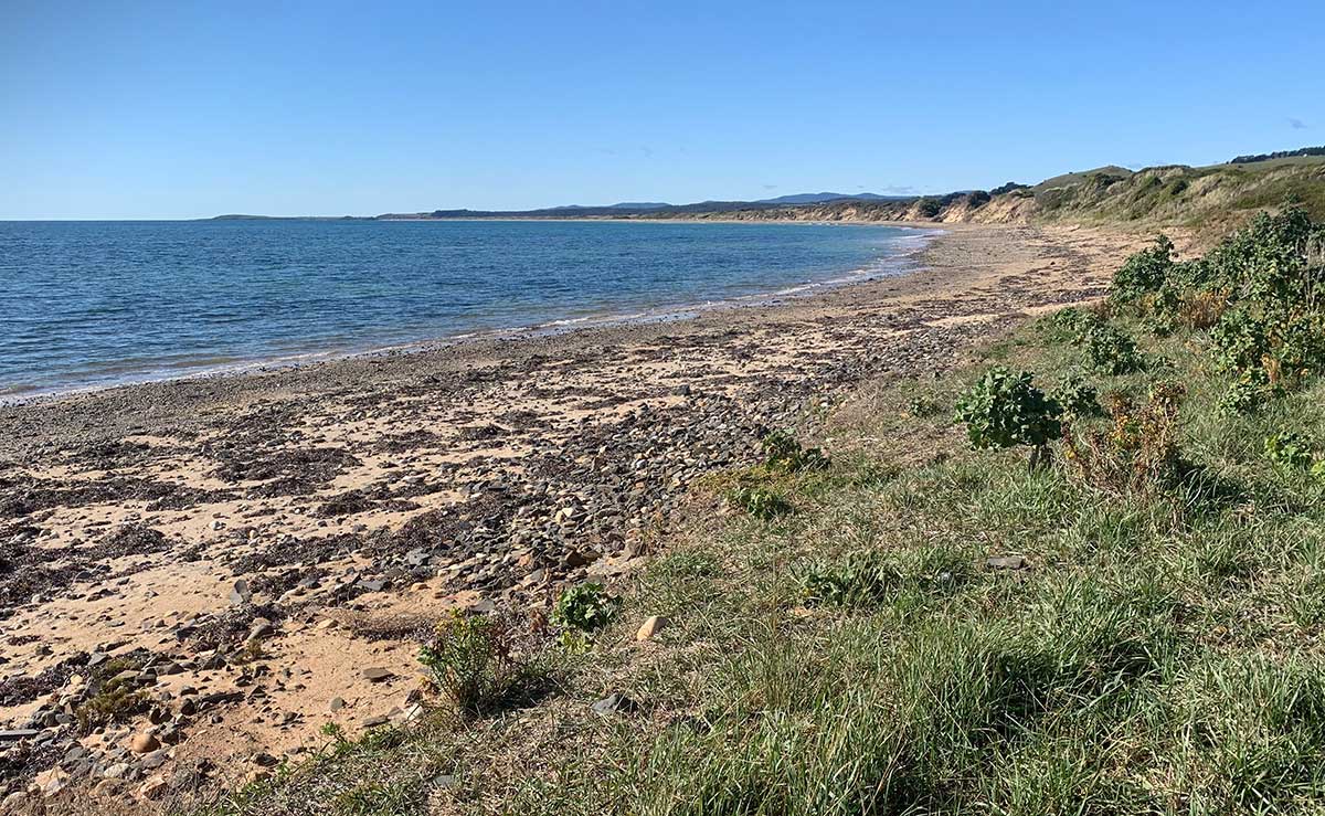 Pardoe Beach