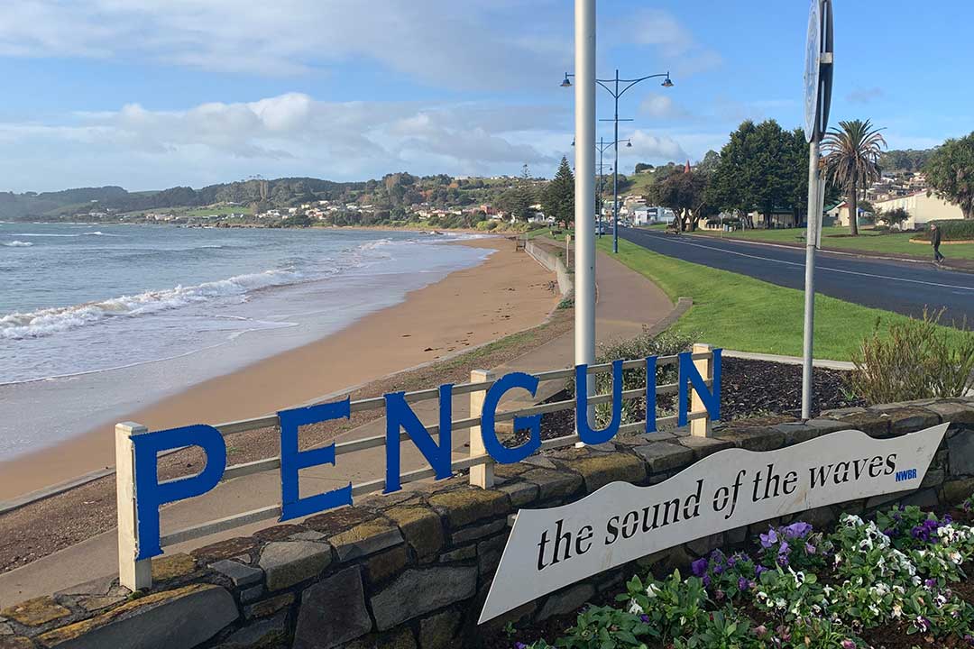 Penguin Beach