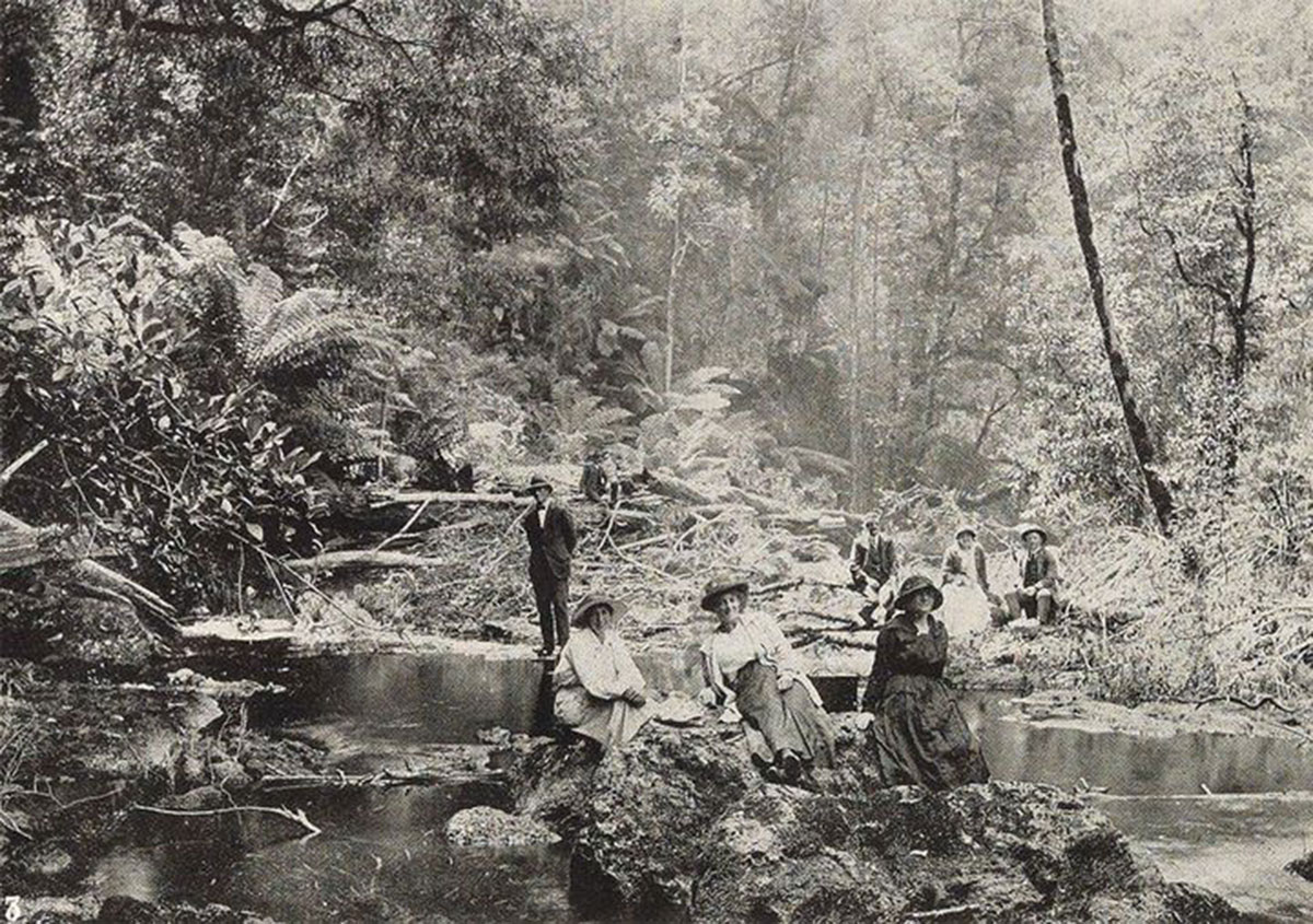Bott Gorge