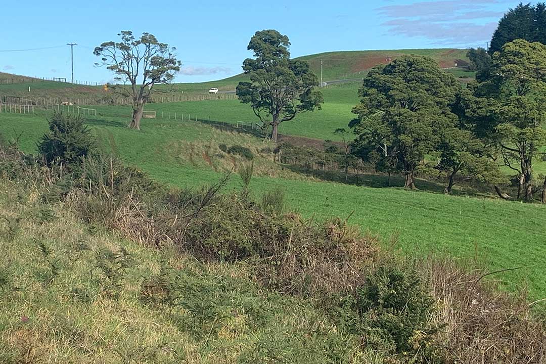 Hampshire Hills
