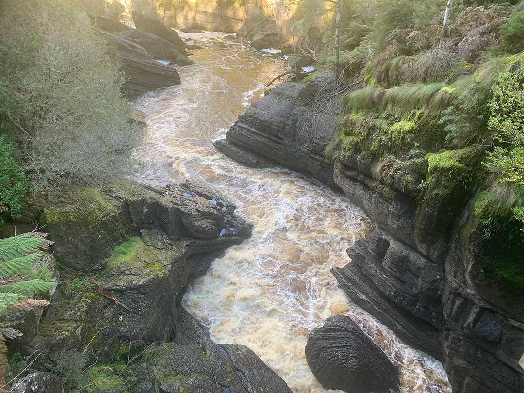 Leven River, Forest Stairs Track