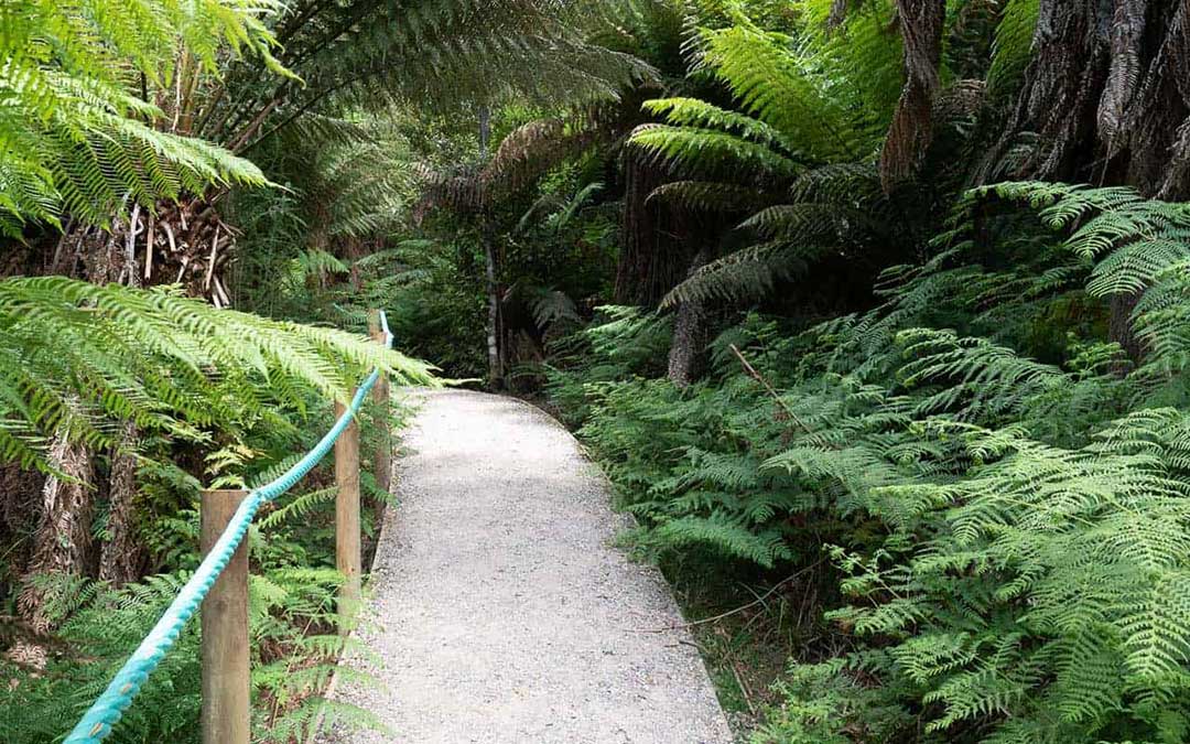 Leven Canyon