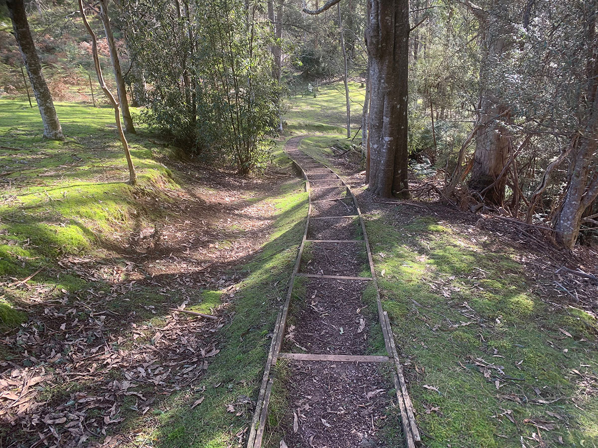 Forest Stairs Track