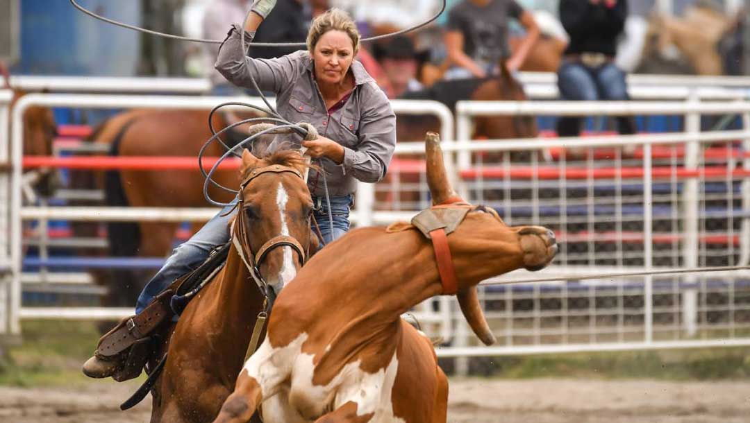 Ulverstone Rodeo