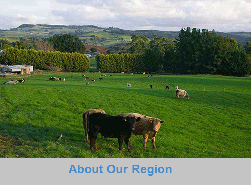 Regional Centres