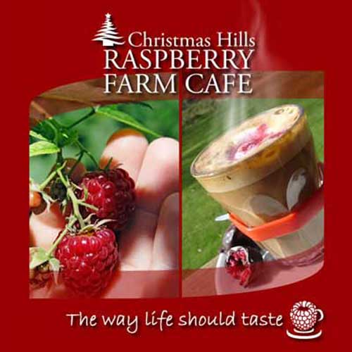 Christmas Hills