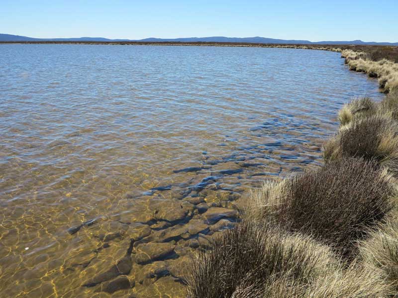 Arthurs Lake