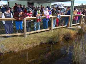 Liawenee Trout Weekend