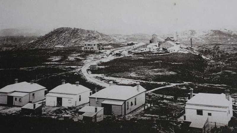Crotty 1901