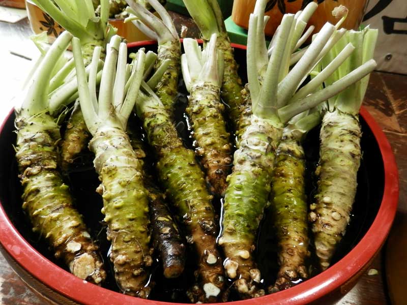 Quirky Food